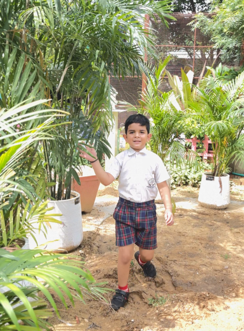 Child exploring plants in the school bagicha