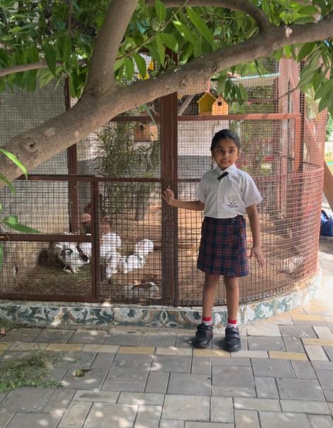 Student visiting rabbits in the school mini zoo